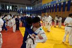 GreenCamp-003