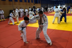 GreenCamp-043